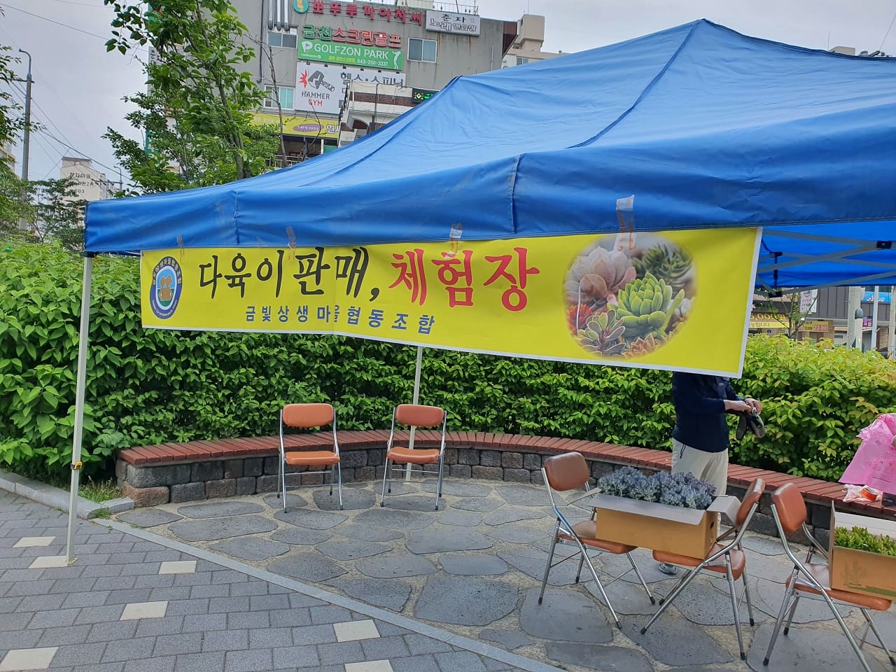 프리마켓_다육이 판매 체험장 운영